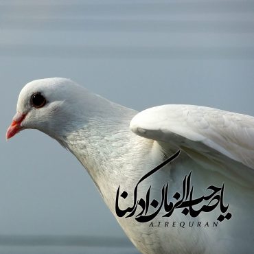 یا صاحب الزمان ادرکنا